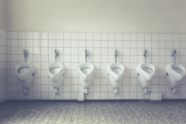 pisoiry na veřejných záchodcích